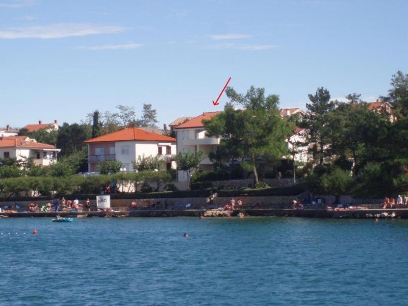 Dakovic Deni Šilo Quarto foto